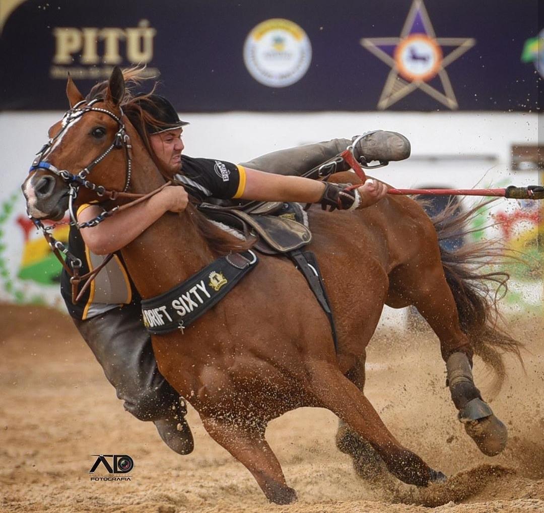 Vaquejada em 2023  Fotos de cavalos, Égua quarto de milha, Imagens de  vaqueiro